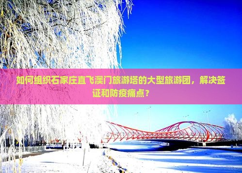 如何组织石家庄直飞澳门旅游塔的大型旅游团，解决签证和防疫痛点？