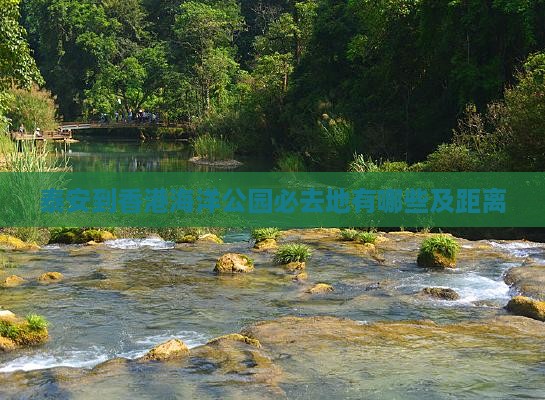 泰安到香港海洋公园必去地有哪些及距离