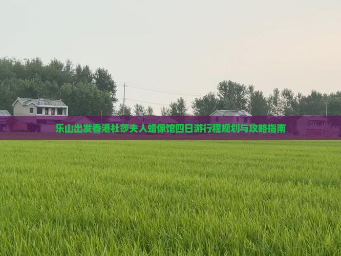 乐山出发香港杜莎夫人蜡像馆四日游行程规划与攻略指南