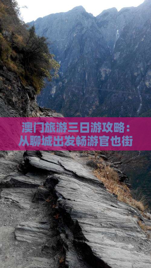 澳门旅游三日游攻略：从聊城出发畅游官也街