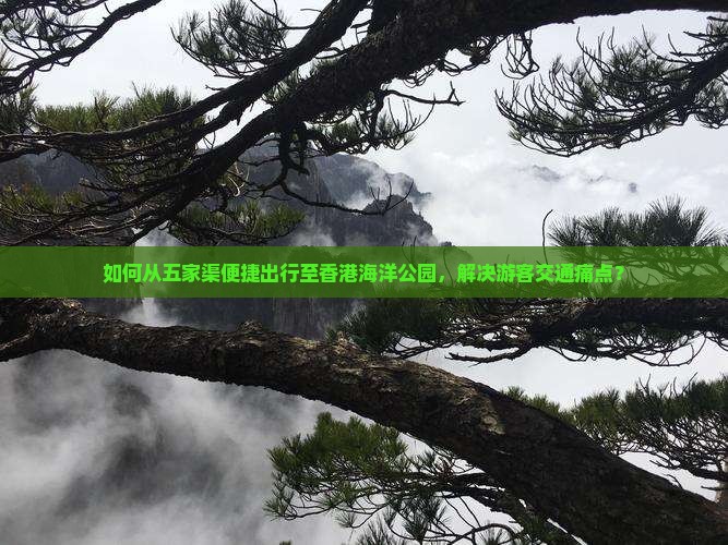 如何从五家渠便捷出行至香港海洋公园，解决游客交通痛点？