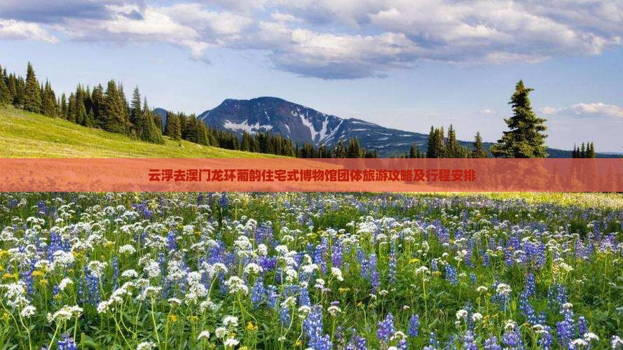 云浮去澳门龙环葡韵住宅式博物馆团体旅游攻略及行程安排