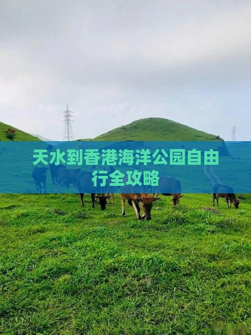 天水到香港海洋公园自由行全攻略