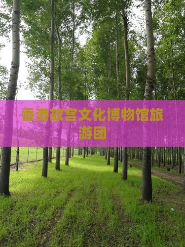 香港故宫文化博物馆旅游团