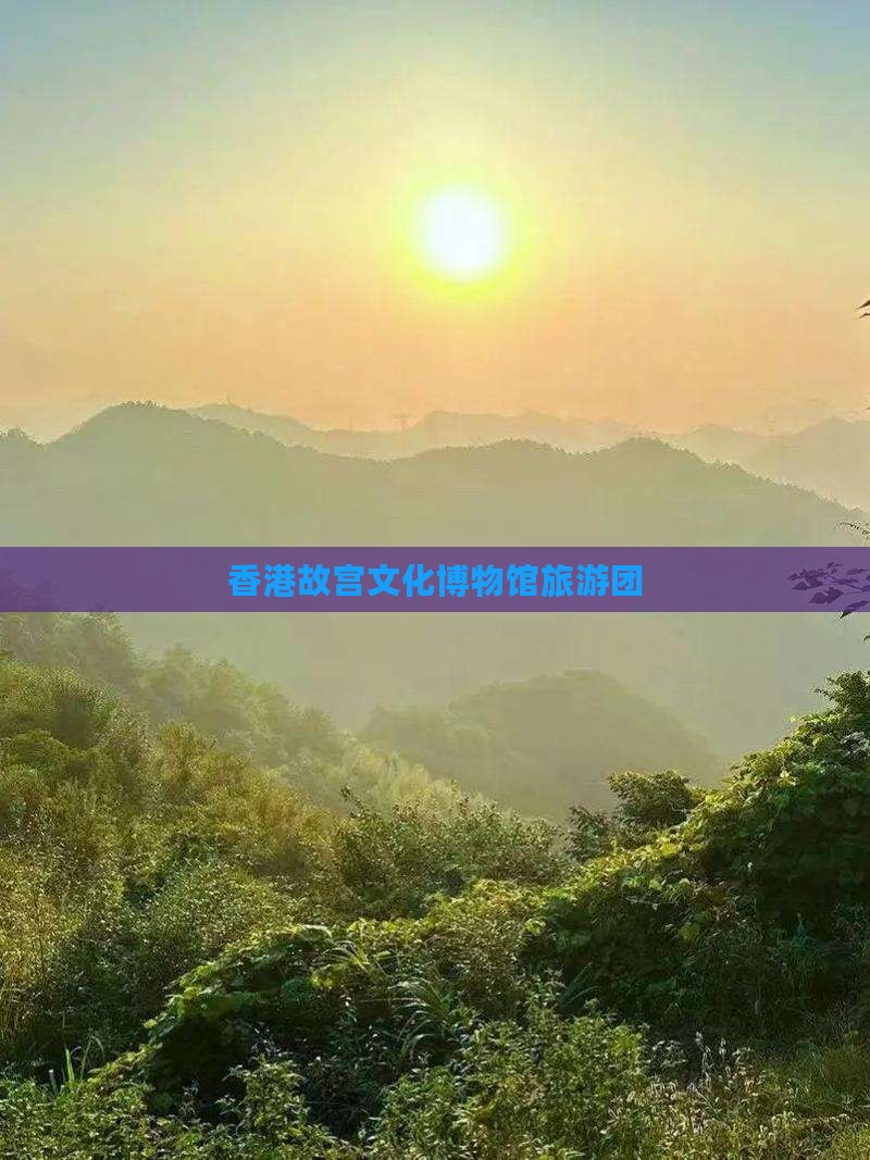 香港故宫文化博物馆旅游团