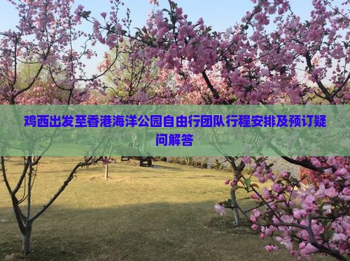 鸡西出发至香港海洋公园自由行团队行程安排及预订疑问解答