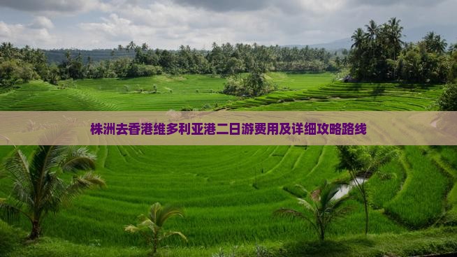株洲去香港维多利亚港二日游费用及详细攻略路线