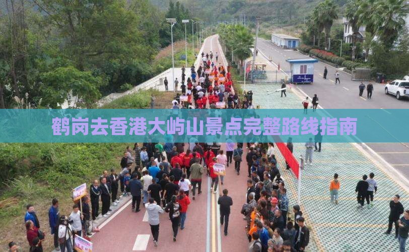 鹤岗去香港大屿山景点完整路线指南