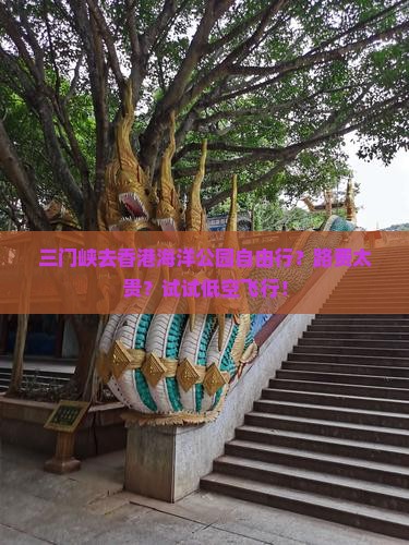 三门峡去香港海洋公园自由行？路费太贵？试试低空飞行！