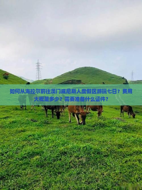 如何从海拉尔前往澳门威尼斯人度假区游玩七日？费用大概是多少？需要准备什么证件？