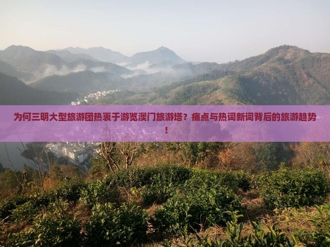 为何三明大型旅游团热衷于游览澳门旅游塔？痛点与热词新词背后的旅游趋势！