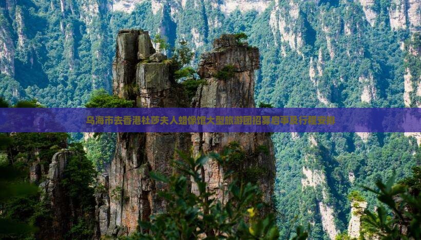 乌海市去香港杜莎夫人蜡像馆大型旅游团招募启事及行程安排