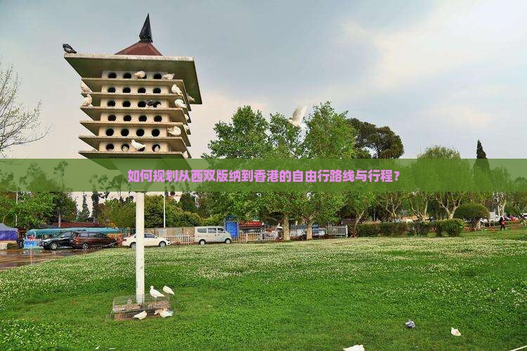 如何规划从西双版纳到香港的自由行路线与行程？