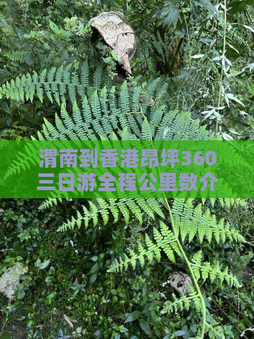 渭南到香港昂坪360三日游全程公里数介绍