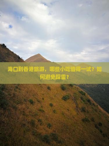 海口到香港旅游，哪些小吃值得一试？如何避免踩雷？