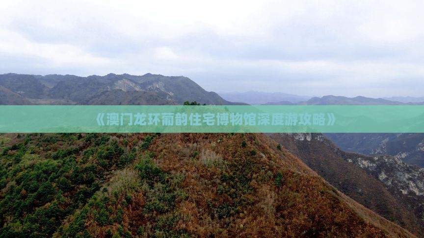 《澳门龙环葡韵住宅博物馆深度游攻略》