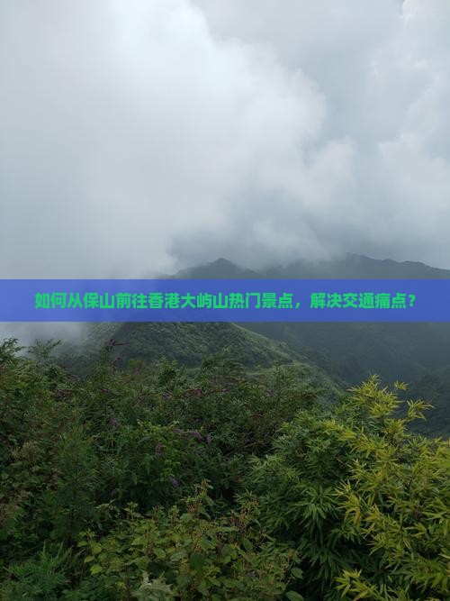 如何从保山前往香港大屿山热门景点，解决交通痛点？