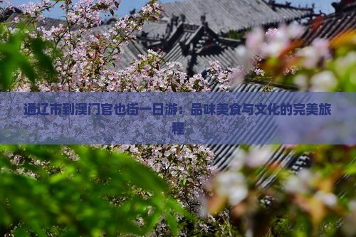 通辽市到澳门官也街一日游：品味美食与文化的完美旅程