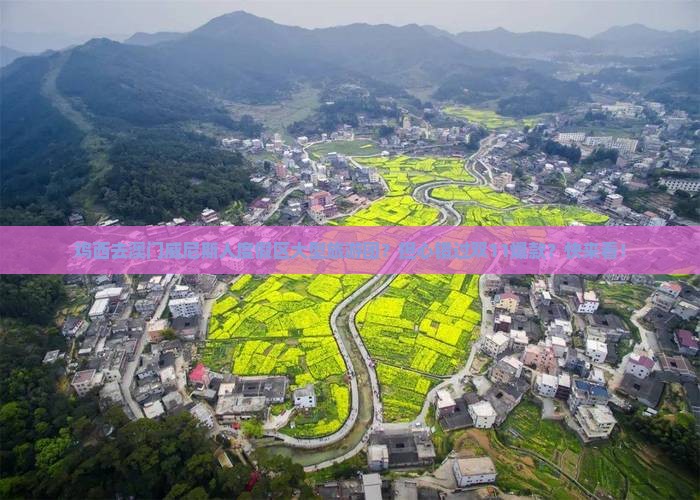 鸡西去澳门威尼斯人度假区大型旅游团？担心错过双11爆款？快来看！