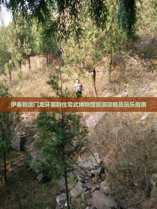 伊春到澳门龙环葡韵住宅式博物馆旅游攻略及玩乐指南