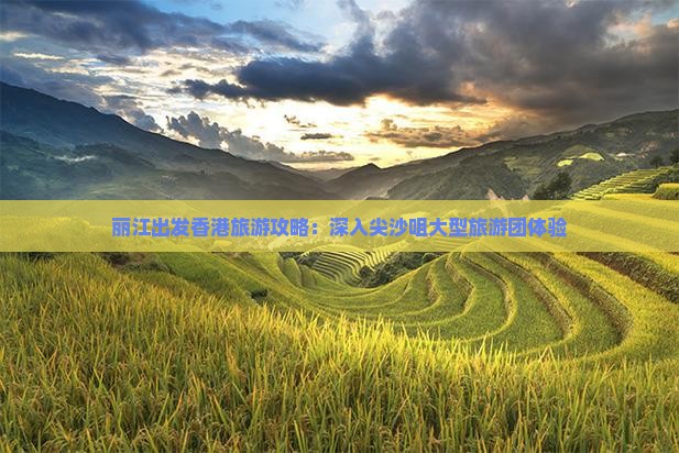 丽江出发香港旅游攻略：深入尖沙咀大型旅游团体验
