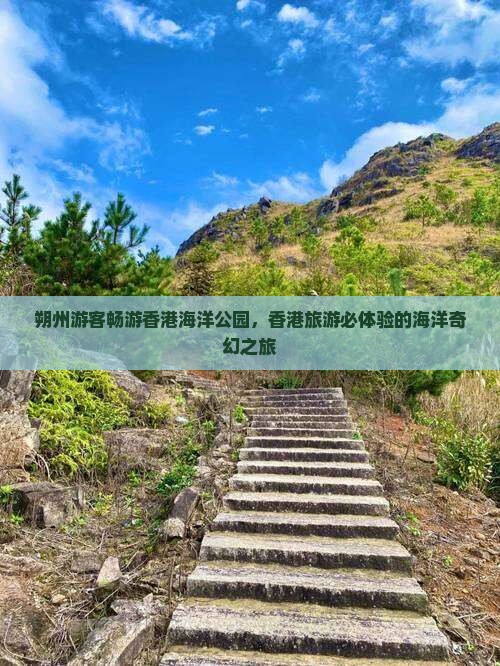 朔州游客畅游香港海洋公园，香港旅游必体验的海洋奇幻之旅
