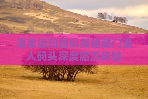 港澳德阳团队探秘澳门渔人码头深度旅游体验