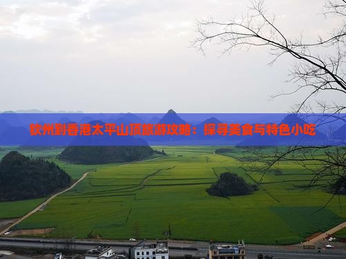 钦州到香港太平山顶旅游攻略：探寻美食与特色小吃