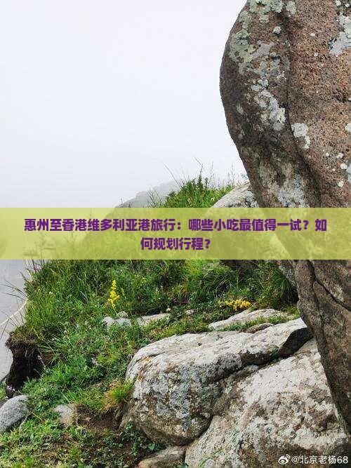 惠州至香港维多利亚港旅行：哪些小吃最值得一试？如何规划行程？