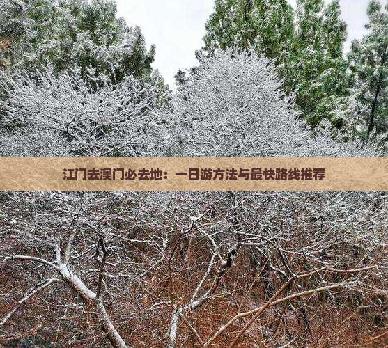 江门去澳门必去地：一日游方法与最快路线推荐
