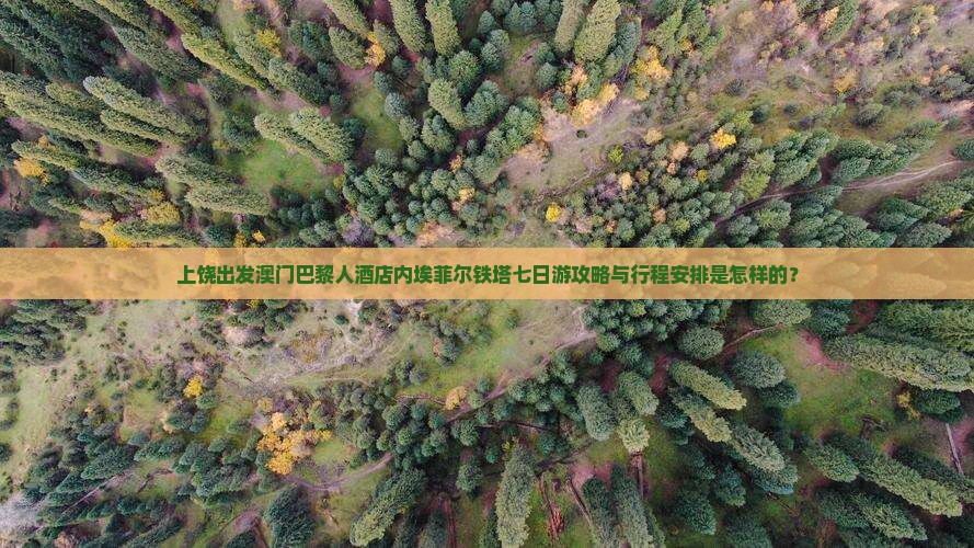 上饶出发澳门巴黎人酒店内埃菲尔铁塔七日游攻略与行程安排是怎样的？