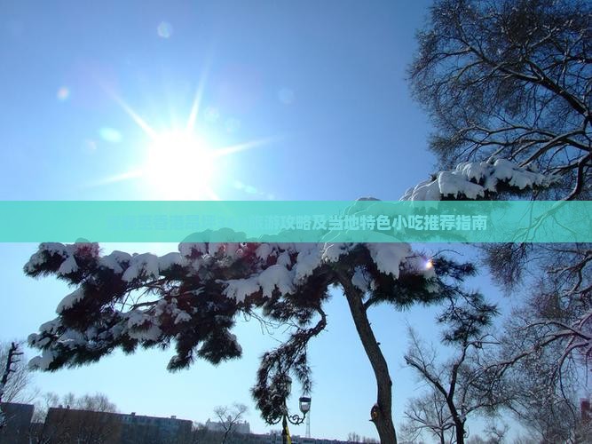 宜春至香港昂坪360旅游攻略及当地特色小吃推荐指南