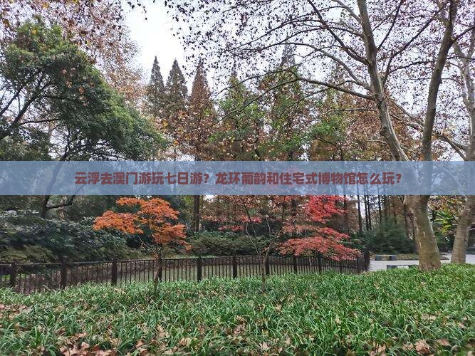 云浮去澳门游玩七日游？龙环葡韵和住宅式博物馆怎么玩？