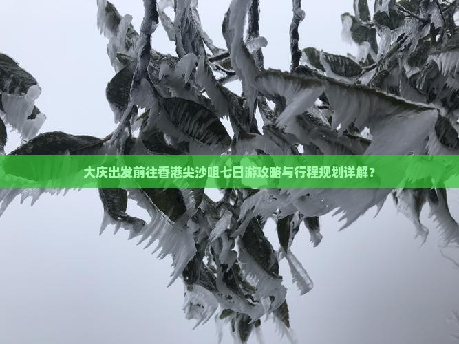 大庆出发前往香港尖沙咀七日游攻略与行程规划详解？