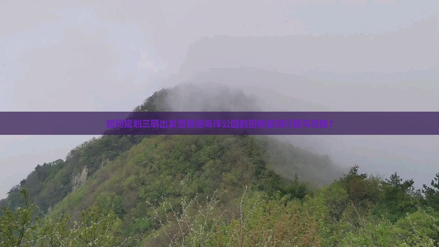 如何规划三明出发至香港海洋公园的团体旅游行程与攻略？