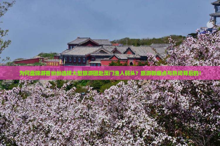 为何盘锦游客纷纷选择大型旅游团赴澳门渔人码头？旅游新痛点与热词背后的！