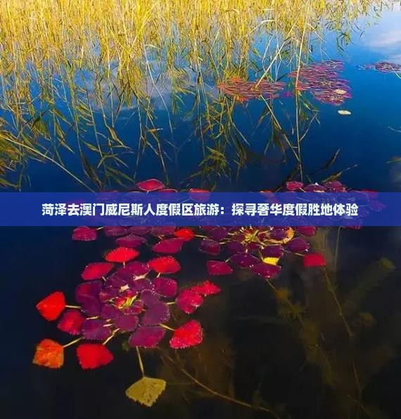菏泽去澳门威尼斯人度假区旅游：探寻奢华度假胜地体验