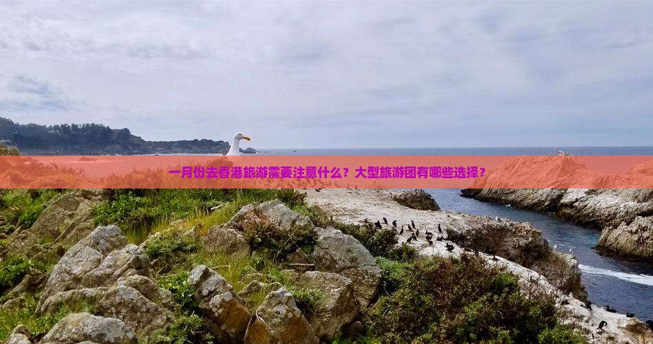 一月份去香港旅游需要注意什么？大型旅游团有哪些选择？