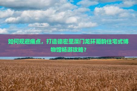 如何规避痛点，打造德宏至澳门龙环葡韵住宅式博物馆畅游攻略？