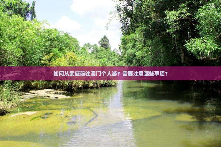 如何从武威前往澳门个人游？需要注意哪些事项？