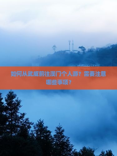如何从武威前往澳门个人游？需要注意哪些事项？