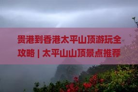 贵港到香港太平山顶游玩全攻略 | 太平山山顶景点推荐