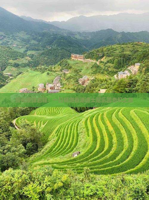 绥化便捷启程：一日畅游香港迪士尼乐园奇幻之旅