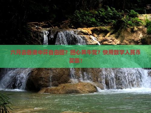 六月去香港中环自由团？担心黄牛党？快用数字人民币买票！