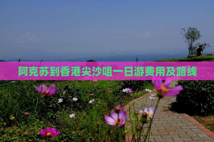 阿克苏到香港尖沙咀一日游费用及路线