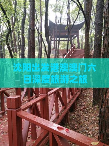 沈阳出发港澳澳门六日深度旅游之旅