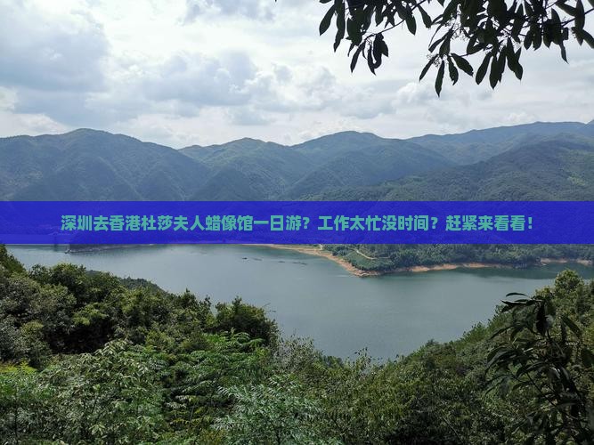 深圳去香港杜莎夫人蜡像馆一日游？工作太忙没时间？赶紧来看看！