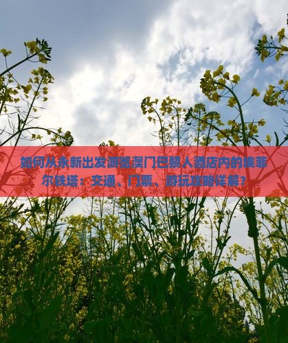 如何从永新出发游览澳门巴黎人酒店内的埃菲尔铁塔：交通、门票、游玩攻略详解？