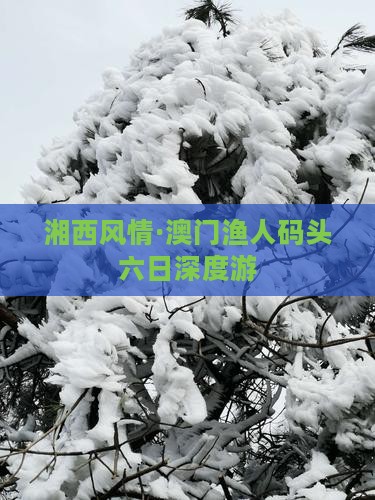 湘西风情·澳门渔人码头六日深度游
