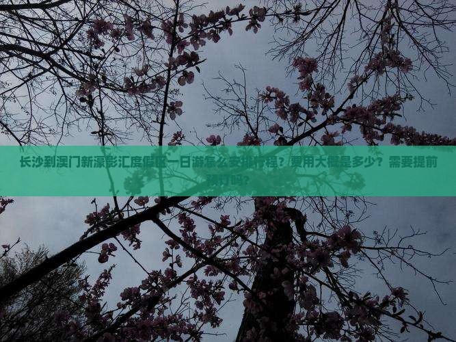 长沙到澳门新濠影汇度假区一日游怎么安排行程？费用大概是多少？需要提前预订吗？